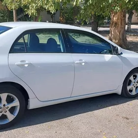 Toyota Corolla 2011