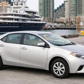 carolla 2014 kecesi