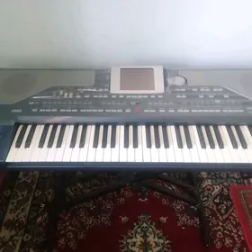 korg pa 800