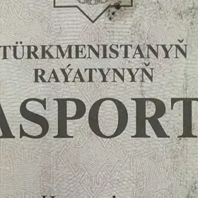 paspyrt yitdi