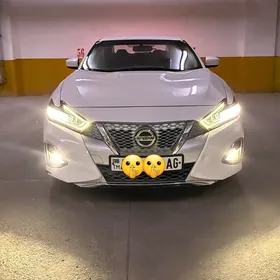 Nissan Maxima 2019