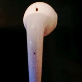 Bultuz nauşnik