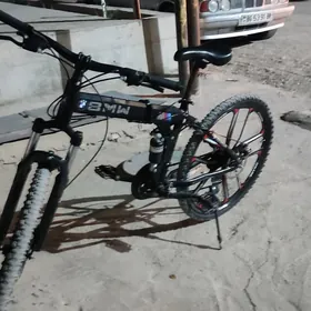 BMW WELIK