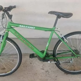Turkmenistan tigir