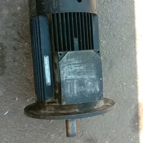 Motor dwigitil