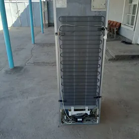 Holadinik