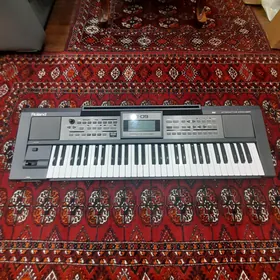 Roland e 09