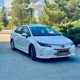 Toyota Corolla 2025