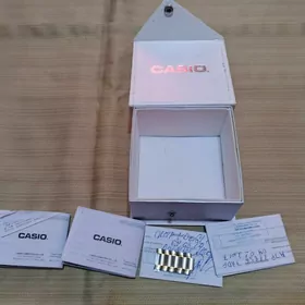Casio sagadyn koropkasy