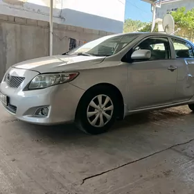 Toyota Corolla 2010