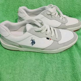 USPA 43
