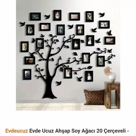 maşgala agajy