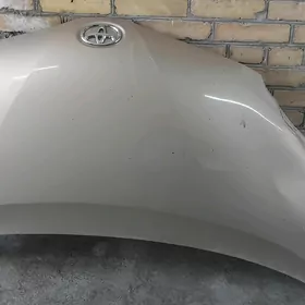 sienna kapot 2010