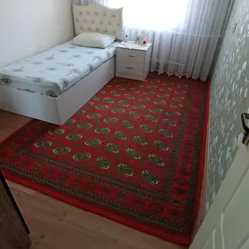 Халы
