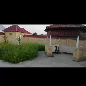 Satlyk jay  Daca