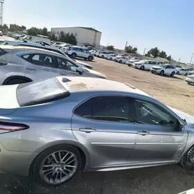 Toyota Camry 2020