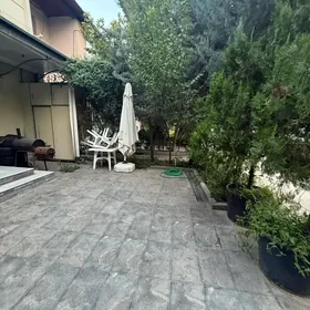 oglana arenda 3 kom