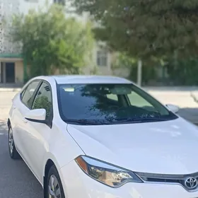 Toyota Corolla 2014