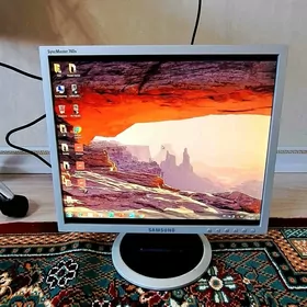 Monitor 17 lik