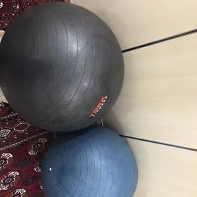 Fitnes sar