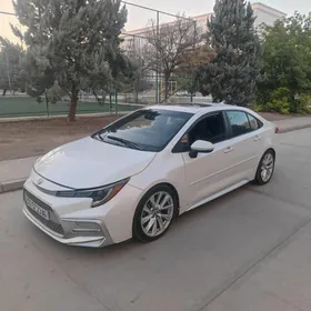 Toyota Corolla 2021