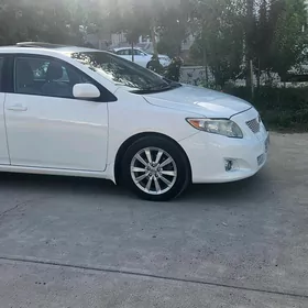 Toyota Corolla 2008
