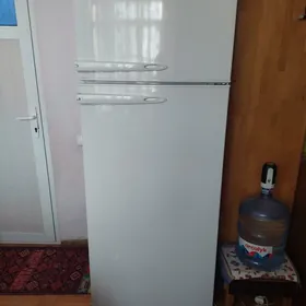 Beko haladinik