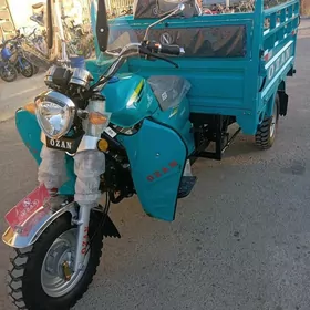 Ozan 200CC 2025
