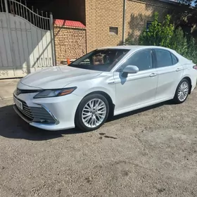 Toyota Camry 2020