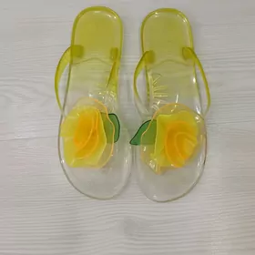Сланцы
