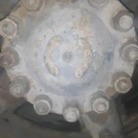 eupo kamaz 20 dis palos