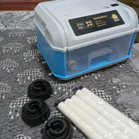inkubator