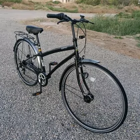 Tigir 27