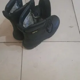 sapok