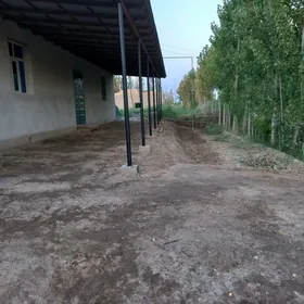 hojalik jay