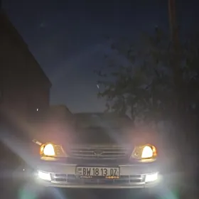 Led