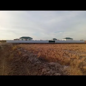 Satlyk ferma