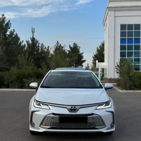Toyota Corolla 2023