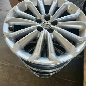 korolla arginal disga