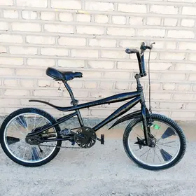 tigir 20lik