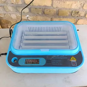Inkubator.Инкубатор.