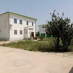 Taze Zaman Тазе Заман Котедж