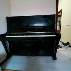 pionina blerusya