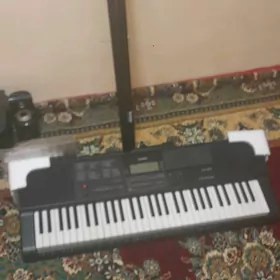 elektro pionina