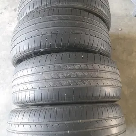 Nexen 225 55 17