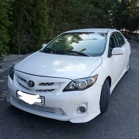 Toyota Corolla 2010