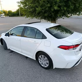 Toyota Corolla 2020