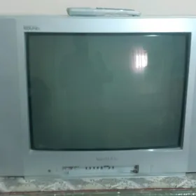 telewizir