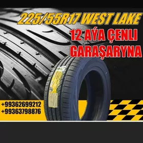 GARAŞARYNA ❗️WestLake 225/55R17