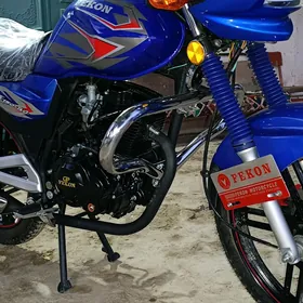 Fekon FK150-8G 2025